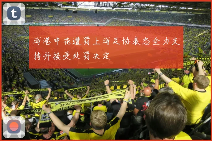 海港申花遭罚上海足协表态全力支持并接受处罚决定